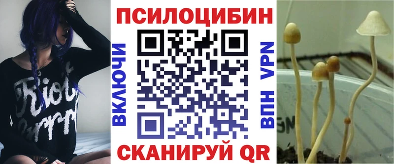 Псилоцибиновые грибы Psilocybine cubensis  где купить   Ноябрьск 